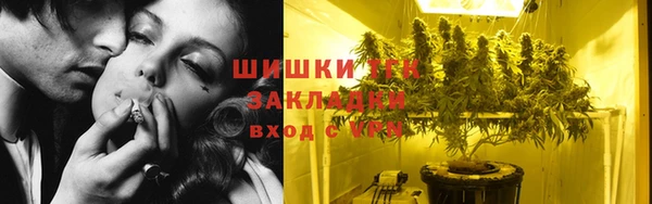 шишки Алзамай