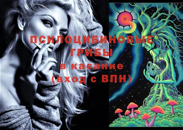 шишки Алзамай