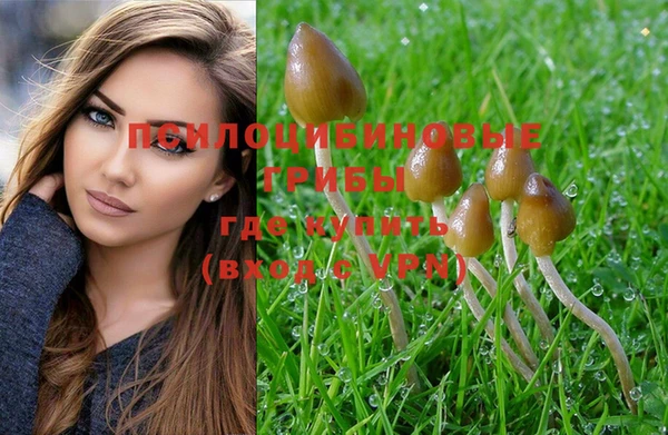 шишки Алзамай
